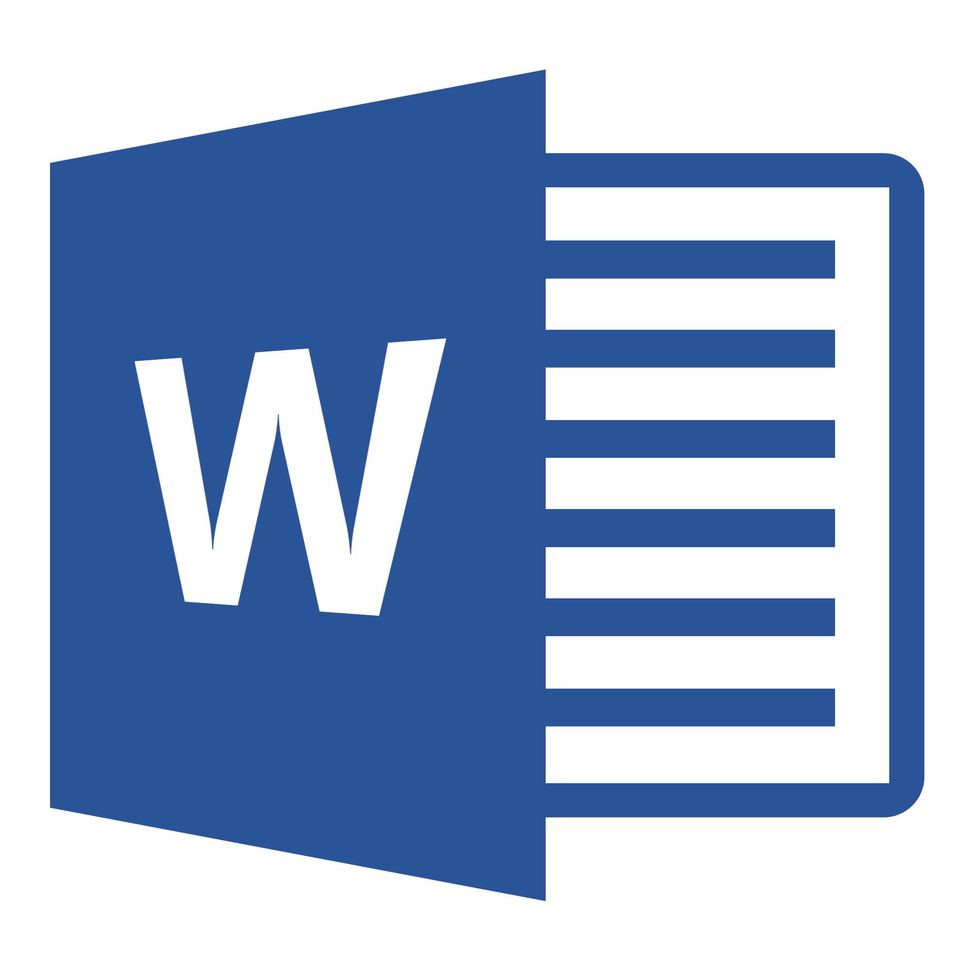 ms word